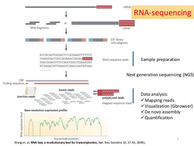 rna-seq a revolutionary tool for transcriptomics